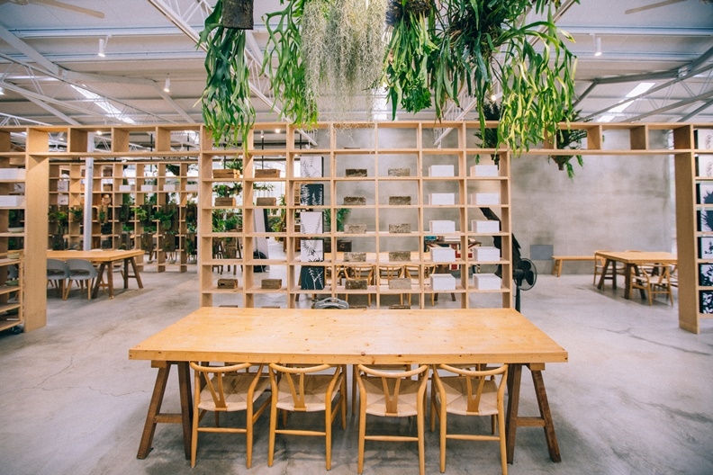 50後的小山旅:1000公尺山林的「空氣圖書館」,展的不是書而是呼吸_img_2