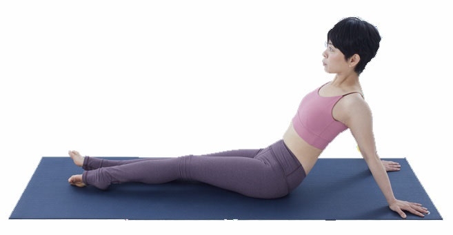 （圖片來源：《骨盆回正：療癒身心的練習帖》）