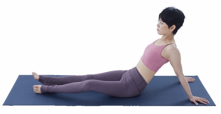 （圖片來源：《骨盆回正：療癒身心的練習帖》）