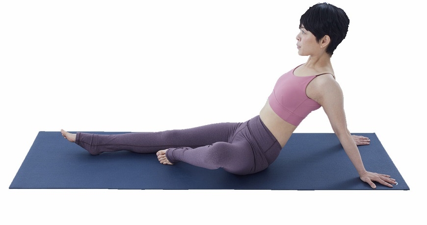 （圖片來源：《骨盆回正：療癒身心的練習帖》）