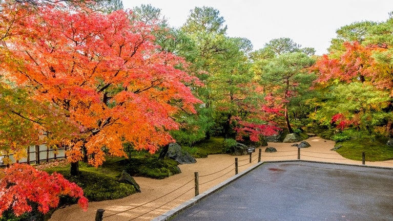 【梁旅珠專欄】蟬聯16年日本第一庭園!「足立美術館」的楓紅與動畫框景_img_1