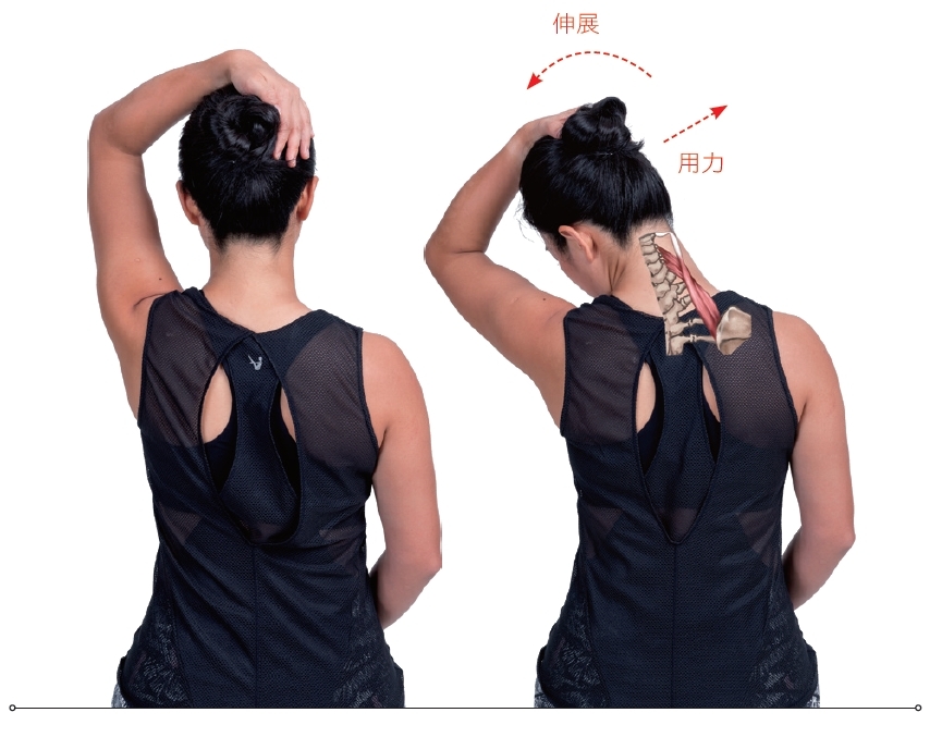 50後如何讓筋有彈性?醫師:拉筋不是愈長愈好!PNF伸展法,才能保護關節_img_2