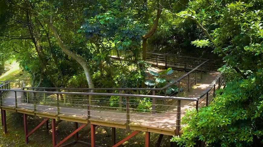 親近自然的一日旅！6條散步又能兼賞景的步道推薦_img_5