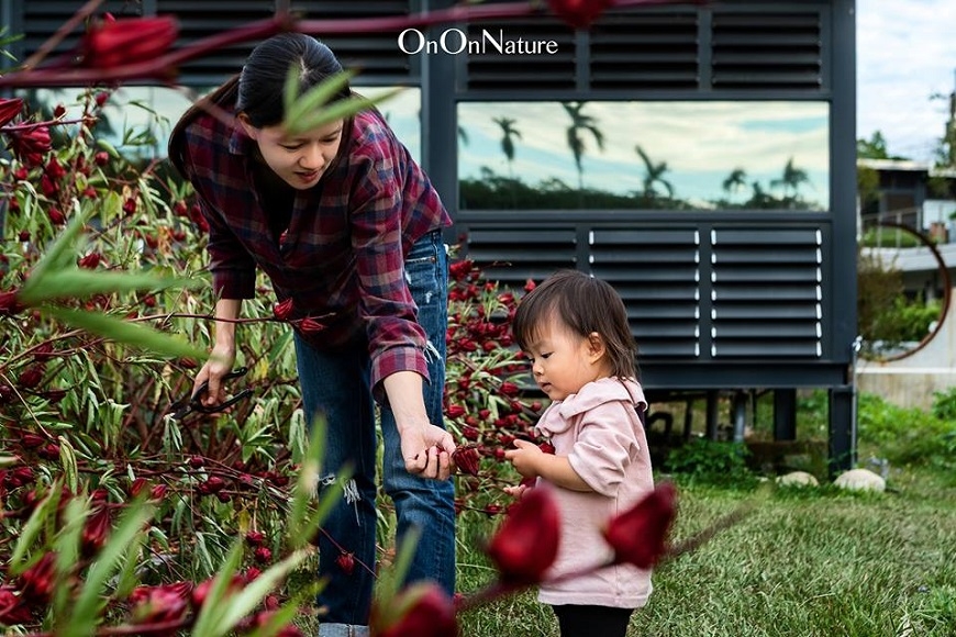 15坪的療癒幸福！謝東興：50後蓋小木屋，房子可小但自然要大_img_3