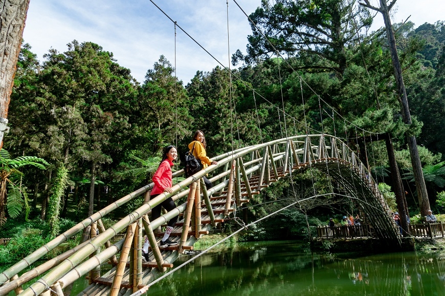 待2個小時就有效！溪頭森林輕旅行路線，台大醫師研究證實提升免疫力_img_2