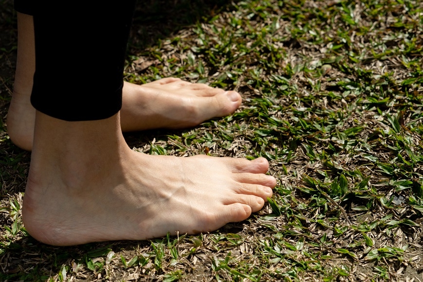 待2個小時就有效！溪頭森林輕旅行路線，台大醫師研究證實提升免疫力_img_3