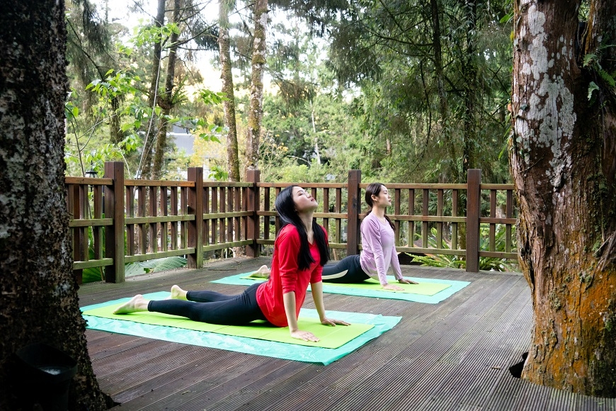 待2個小時就有效！溪頭森林輕旅行路線，台大醫師研究證實提升免疫力_img_5