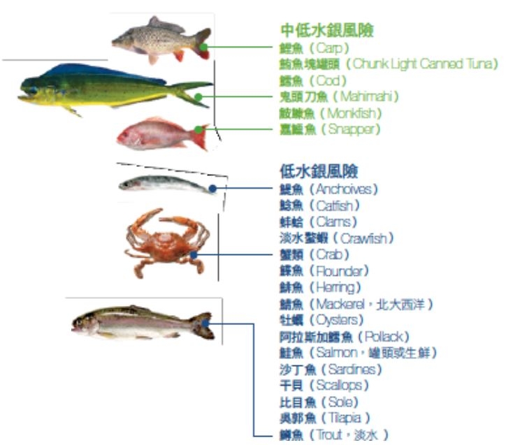 防失智,每週吃魚一次!小驚喜:防止腦退化的美食與酒名單_img_2