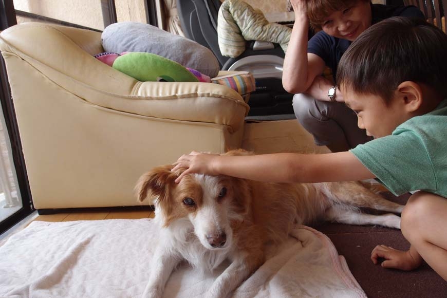 【綠主張】人生最後一刻應像自己，而非病人: 向日本卡桑之家學臨終_img_2