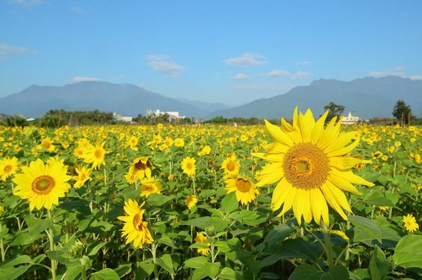 自己開車,往空曠處小旅行!蘇花改通車,5個花蓮山海美境新亮點_img_5