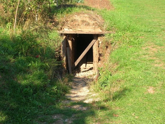 【焦雄屏專欄】什麼比病毒更可怕？從電影節經驗看疫病、偏見與仇恨_img_9