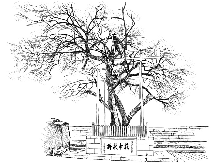 一人旅新提案！王浩一的古樹之旅：拜訪超過千年的生命，它們會教你一些事_img_1