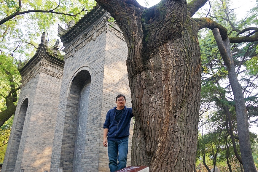 一人旅新提案！王浩一的古樹之旅：拜訪超過千年的生命，它們會教你一些事_img_5