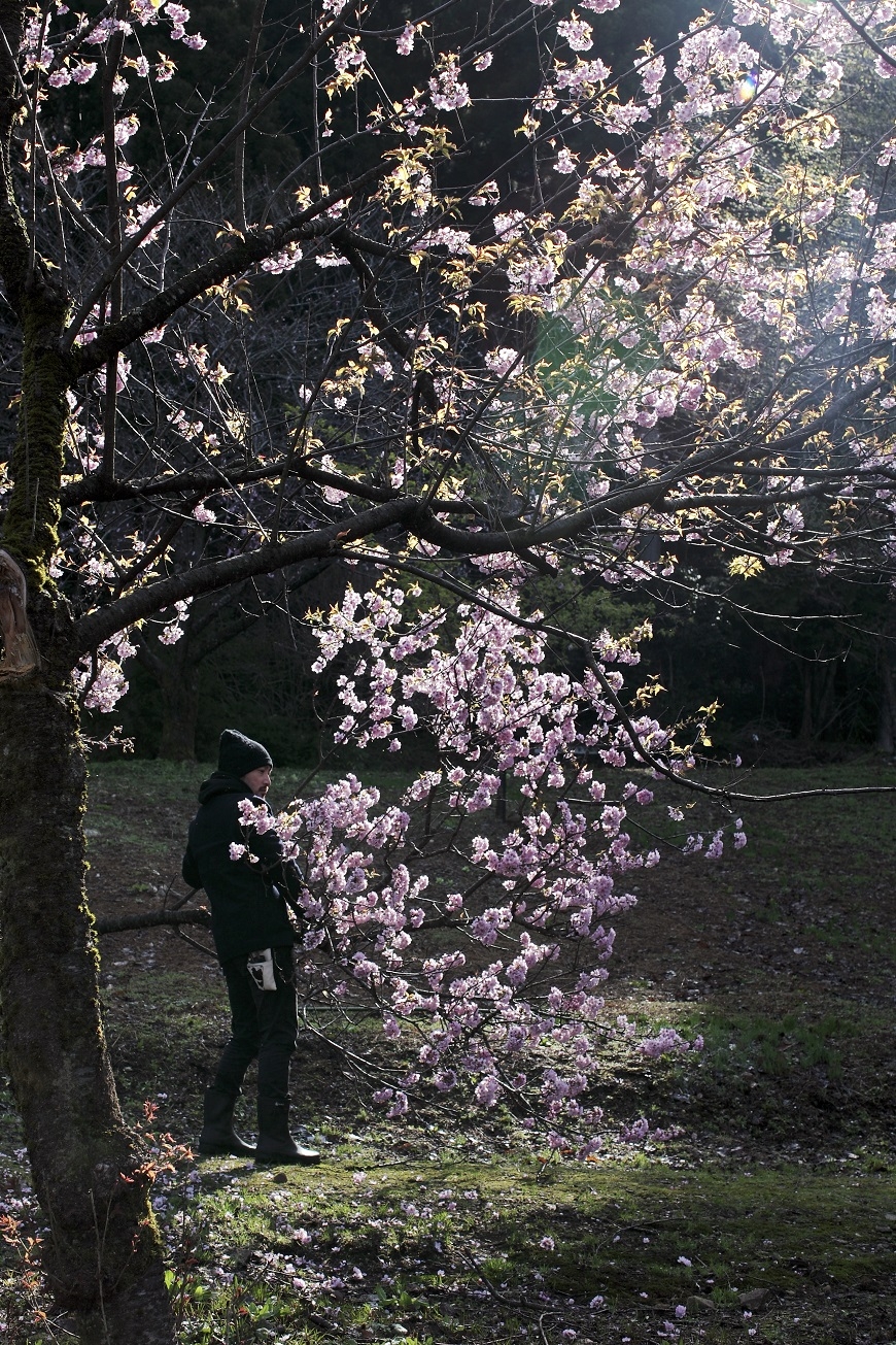 人生該有十大奢侈，都不是錢！花藝家凌宗湧：人生如花，花開花謝自有時_img_5