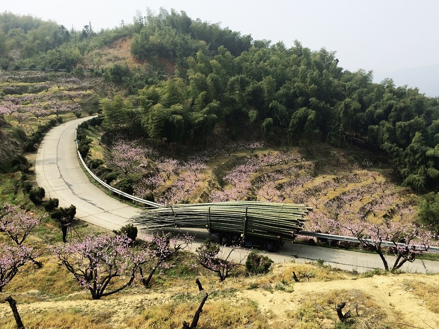 人生該有十大奢侈，都不是錢！花藝家凌宗湧：人生如花，花開花謝自有時_img_7