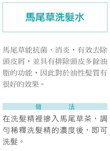 如何維持髮量、延緩白髮？向學文：善用馬尾草，10年頭髮變多了_img_2