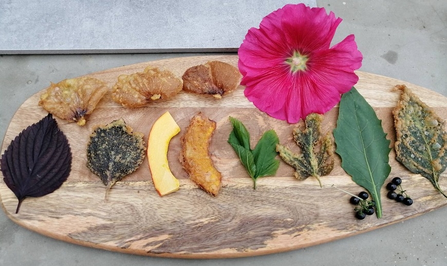 65歲叛逆好處多!退休校長創辦野菜學校:別因他人的價值,讓自己變俗氣 _img_5
