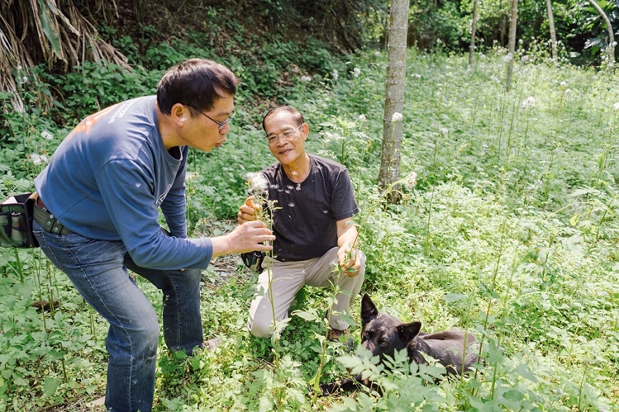 65歲叛逆好處多!退休校長創辦野菜學校:別因他人的價值,讓自己變俗氣 _img_8