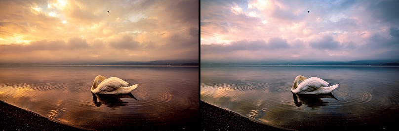 【50+學院】手機攝影美學課:4大關鍵,用手機拍出好看的照片!_img_4