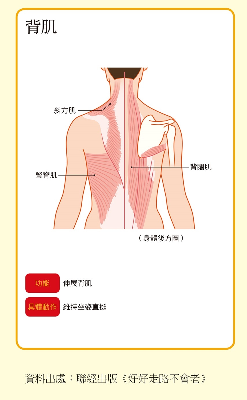 （圖片來源：《好好走路不會老》）