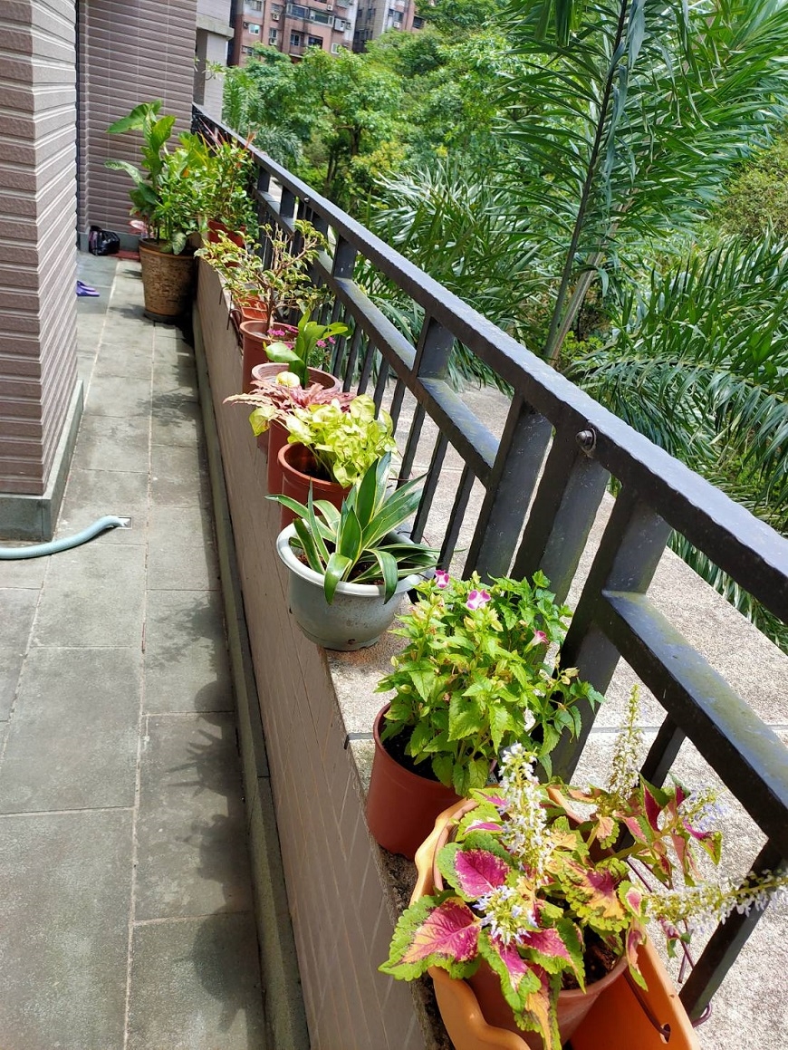 65歲憂鬱症復發的啟示！高愛倫：不要為別人操心過頭，大腦才會分泌快樂荷爾蒙_img_3