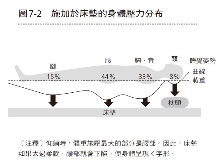 什麼形狀的枕頭最好?睡姿調整與寢具挑選法則,促進一夜好眠_img_2