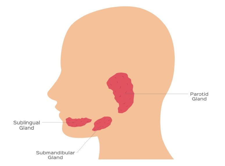 更年期女性唾液會減半!牙醫:2件事增加口水分泌,防口臭、失智、心血管疾病_img_1