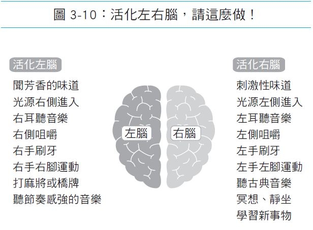 你的左腦或右腦弱化快?功能神經學家:從臉看得出來!及早活化的方法_img_3