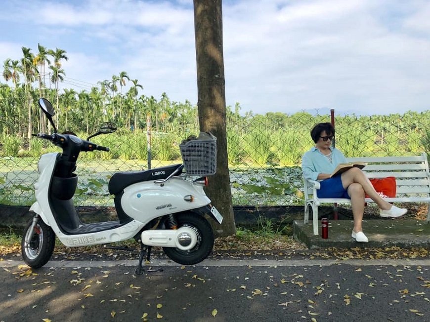 一台小白,重新體會人生!龍應台:辯論一千次樹是什麼,不如走進山中看一棵樹 _img_3