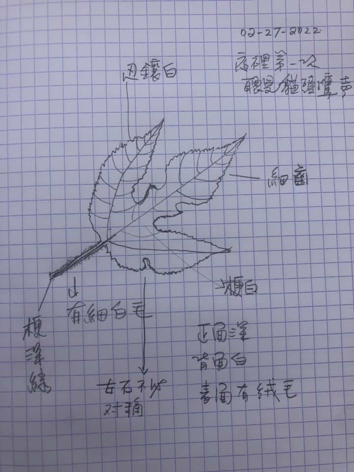 一台小白,重新體會人生!龍應台:辯論一千次樹是什麼,不如走進山中看一棵樹 _img_4