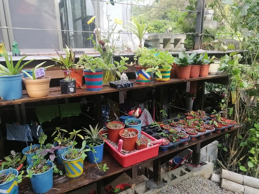 47歲轉行,更喜歡人生!園藝治療師黃盛璘:照顧生命,自己會獲得力量_img_1