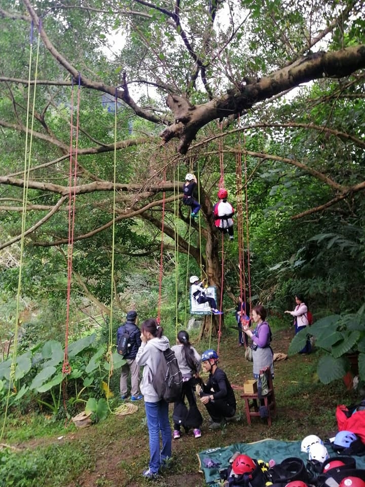 47歲轉行,更喜歡人生!園藝治療師黃盛璘:照顧生命,自己會獲得力量_img_3