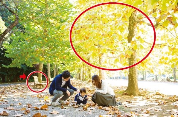 如何拍出自然美照?日攝影師:選背景有技巧,選對就成功九成_img_6