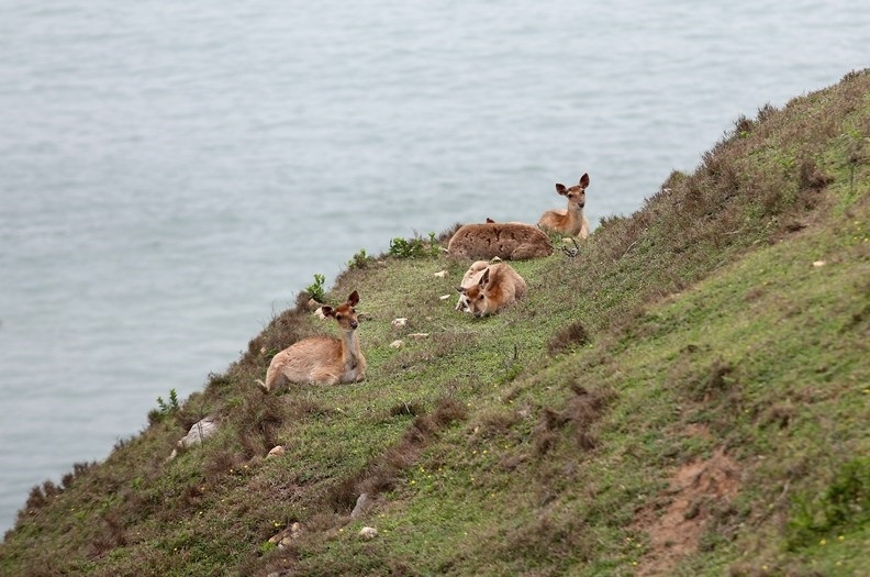 離開台灣，到馬祖小旅行！不只藍眼淚，還有全台最北書店、鹿兒島、老酒巧克力_img_4
