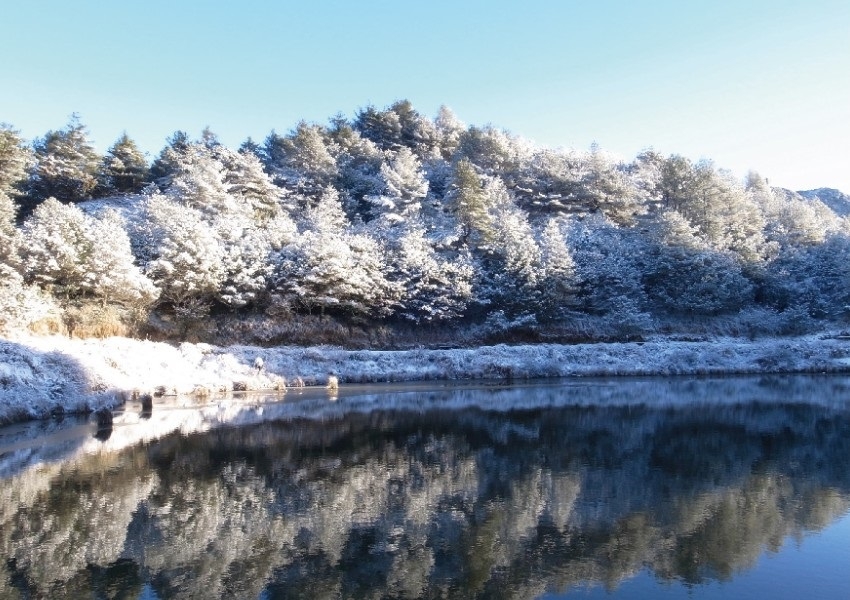 追葉、看雪、賞鳥,釋放心靈深層壓力!5個秋冬值得一去的台灣森林旅行景點_img_3