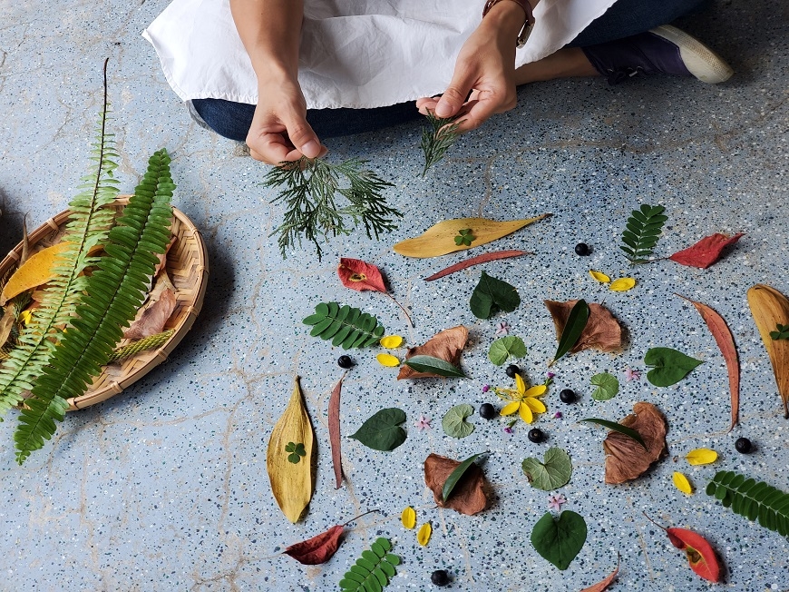 追葉、看雪、賞鳥,釋放心靈深層壓力!5個秋冬值得一去的台灣森林旅行景點_img_7