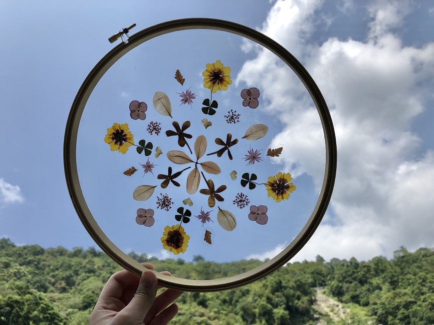 追葉、看雪、賞鳥,釋放心靈深層壓力!5個秋冬值得一去的台灣森林旅行景點_img_8