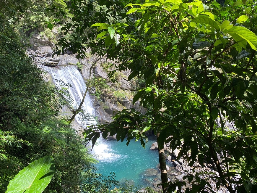 追葉、看雪、賞鳥,釋放心靈深層壓力!5個秋冬值得一去的台灣森林旅行景點_img_9