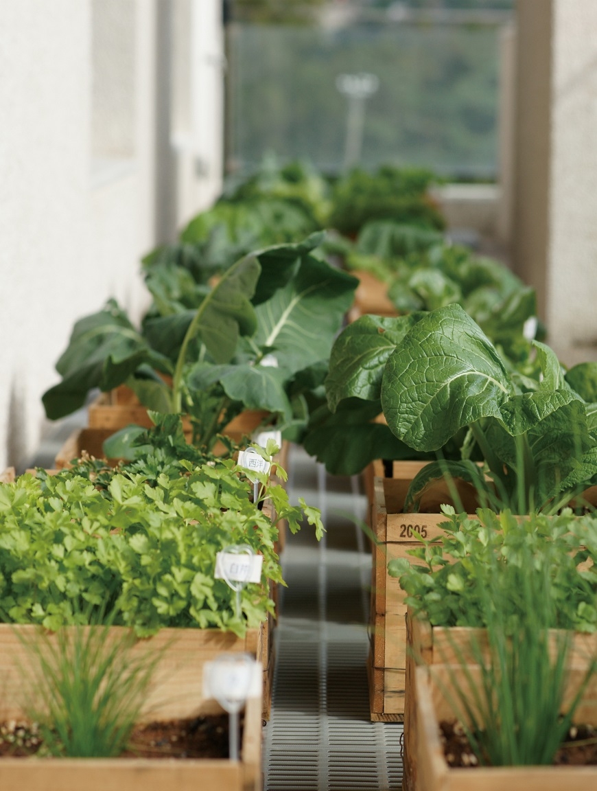 親手做禮物、為聚會訂主題！顧正秋之女任祥：將就的時代更要講究，把平淡的日子變豐盛_img_3