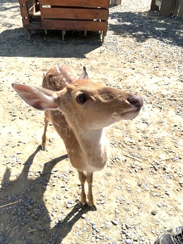 你不知道的生態寶庫,50後的輕壯遊就從島嶼南方登入!_img_2