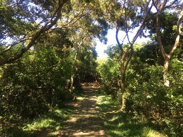 你不知道的生態寶庫,50後的輕壯遊就從島嶼南方登入!_img_3