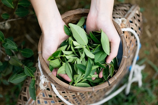 你不知道的生態寶庫,50後的輕壯遊就從島嶼南方登入!_img_5