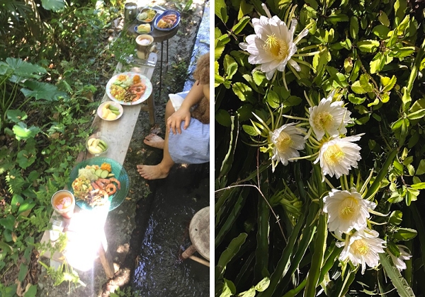 重新感受生活的溫度！到長濱打工換宿，在山海間練習第二人生_img_3