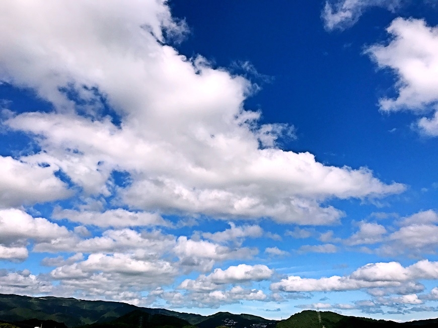 一個人住的自在美好！彭樹君：獨處是人生必經功課，練習把自己放在世界的中心_img_1