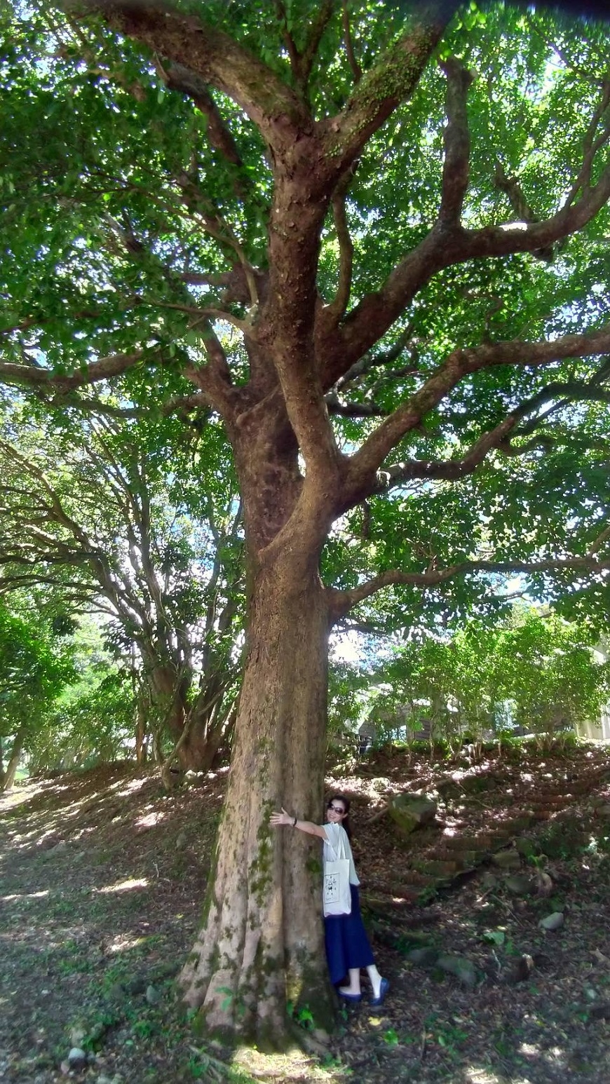 一個人住的自在美好！彭樹君：獨處是人生必經功課，練習把自己放在世界的中心_img_4