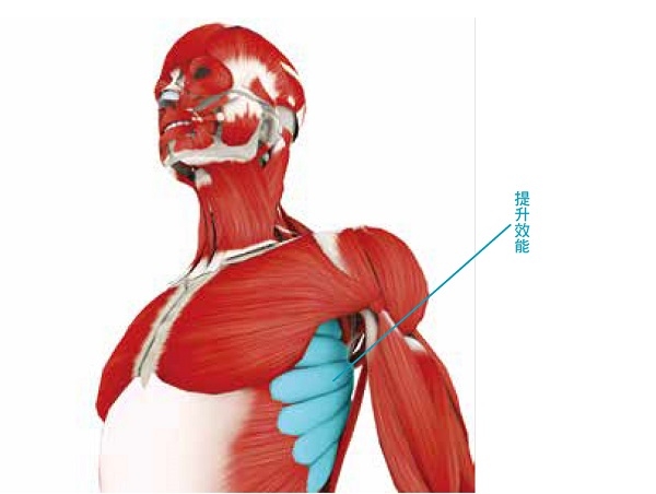 消除肩膀僵硬、預防五十肩,捏捏腋下有效!每天3招,活化腋部深層肌_img_3