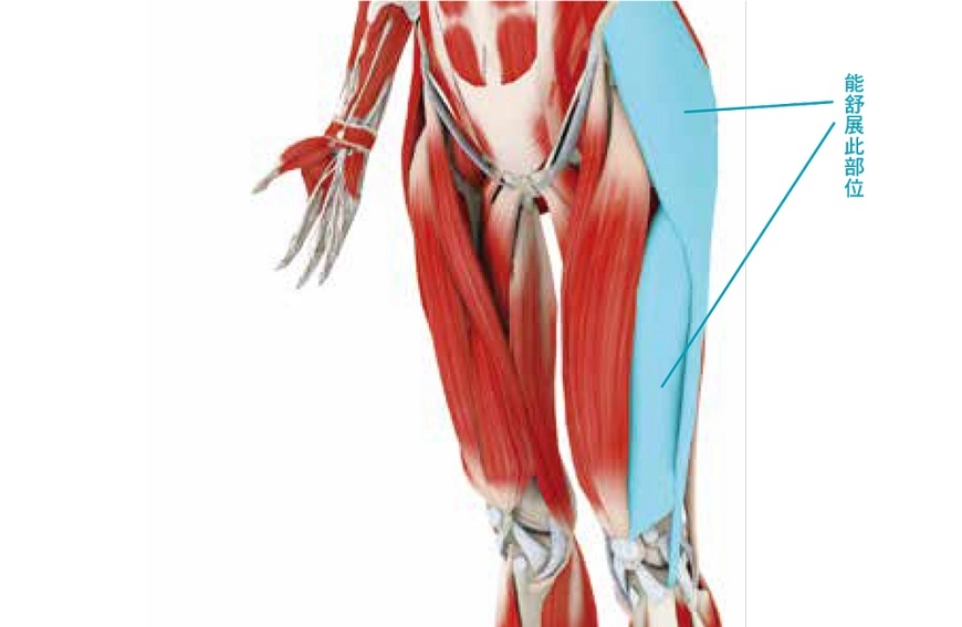 改善膝蓋痛與腰痛!專家:每日刺激一下「膝窩」,減輕膝蓋與腰的負擔_img_1