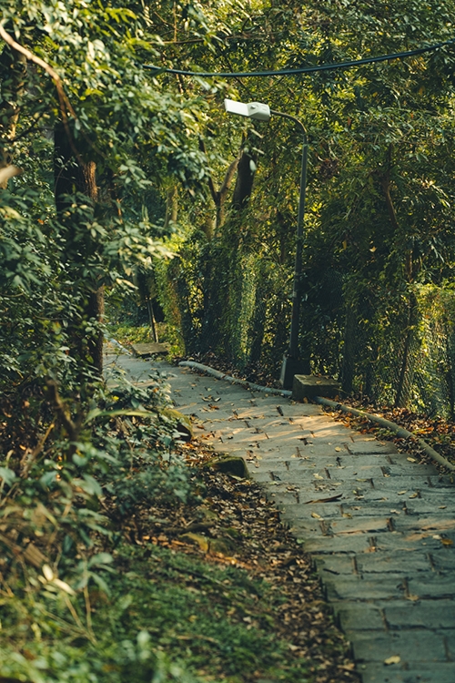 熟齡居住如何更快樂？天母人的優雅生活：享受在地特色，也讓世界走進來_img_4