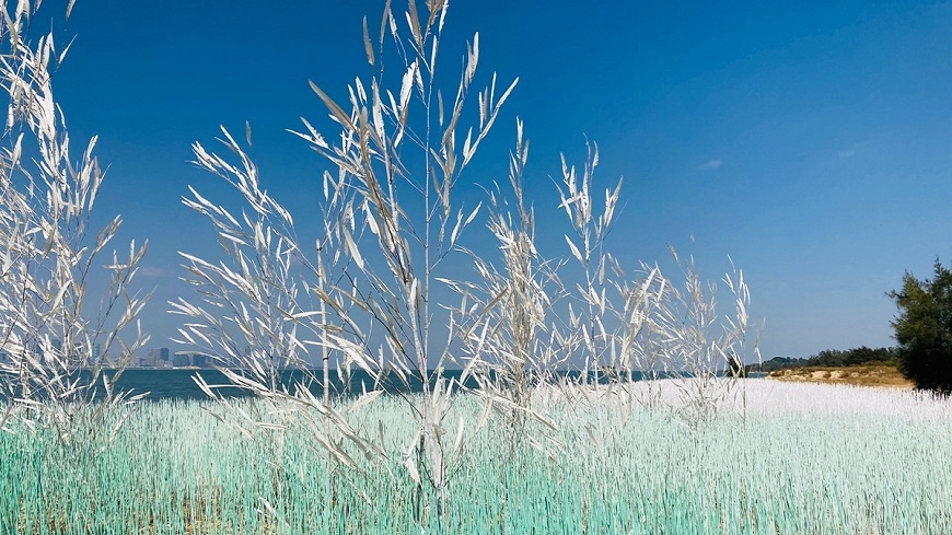 旅行要讓心靈充飽電！全台3場地景藝術節，在露天美術館發現在地之美_img_2