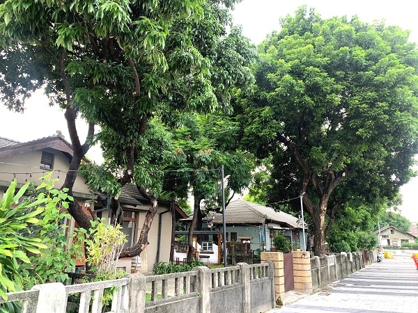 散步屏東，來場文青風小旅行！探索新景點：老屋、書香、青春交織的時代氣息_img_3